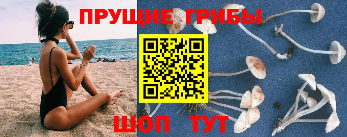 Галлюциногенные грибы мицелий  Псилоцибиновые грибы ЛСД  Лянтор  Вход с VPN 